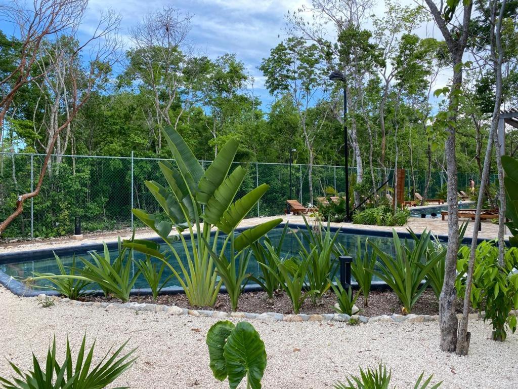 Aldea Savia By Andiani Travel Tulum Exterior foto